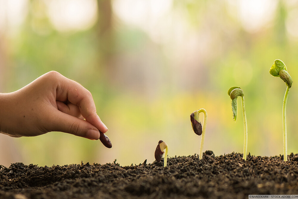 Croissance et innovation Seclin Lille