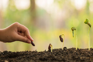 Croissance et innovation Seclin Lille